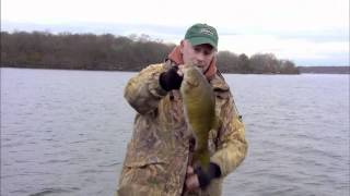 Lipless Crankbaits for Smallmouth Bass [upl. by Nnaycnan]