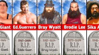 WWE Wrestlers Who Have Died [upl. by Coit709]