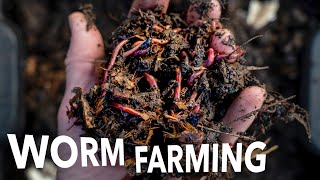 Vermicompost and Worm Breeding at Any Scale  Arizona Worm Farm [upl. by Anisor]