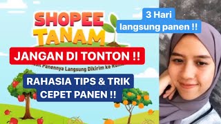 TIPS CEPAT PANEN   CARA MAIN SHOPEE TANAM AGAR CEPAT PANEN [upl. by Levin]