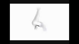 How to draw a realistic nose  Part 1 [upl. by Sudhir896]