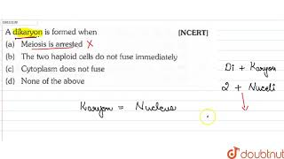 A dikaryon is formed when [upl. by Darcey]