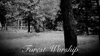 EnderJake100 official release Forest Worship [upl. by Punak]