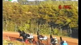 Corbiewood Harness Racing  18092010 Doonbeg 15960001wmv [upl. by Adnaluoy]