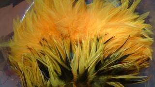 How to Dye Feathers Sunburst with Davie McPhail [upl. by Skcirdnek]