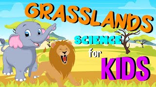 What are Grasslands  Science for Kids [upl. by Ellimaj]