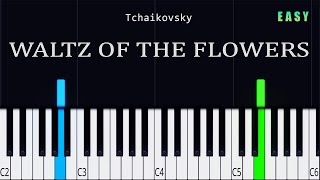 Waltz Of The Flowers  Tchaikovsky  EASY Piano Tutorial [upl. by Yentruocal]