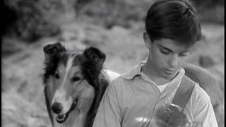 Lassie  Episode 89  quotThe Rockquot  Season 3 Ep 24  0217195 [upl. by Jyoti]