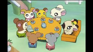 Hamtaro Episode 269 Satisfied Bijou ENGLISH SUBBED ハム太郎 第269話 熱い！ リボンちゃん 英語字幕 [upl. by Egdirdle402]