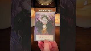 This Found You at The Right Time ✨ tarot tarotreading [upl. by Varney7]