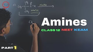 Amines part1Preparation of Amines Class 12 Chemistry [upl. by Waki590]