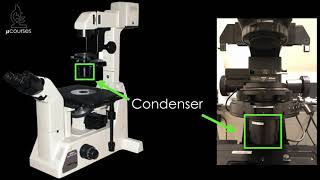 Microscope alignment for optimal image quality Koehler Illumination [upl. by Anaya]