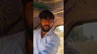 Sawariya Lani Kali thar song status video meena geet status travel farming music punjabi [upl. by Dinan654]