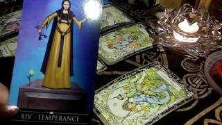 PISCIS lectura GENERAL AMOR ENERO 1731 2017 tarot [upl. by Orfinger904]