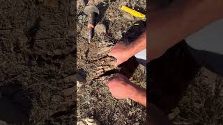 define metaldetecting definebulmaani defineişaretleri metaldetector treasurefind definemall [upl. by Dorita]