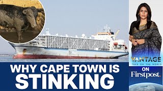 Ship with 19000 Cattle Causes Stink in South Africas Cape Town  Vantage with Palki Sharma [upl. by Donelu210]