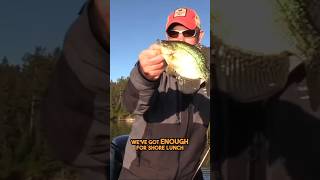 More Crappies with this Tip💪 [upl. by Arekahs]