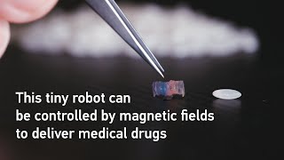 Delivering medical drugs into the human body with a robot the size of a rice grain [upl. by Notnroht]