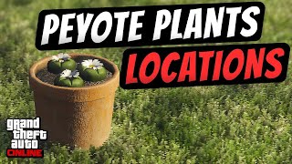 Peyote plant location in GTA 5 [upl. by Jurkoic]