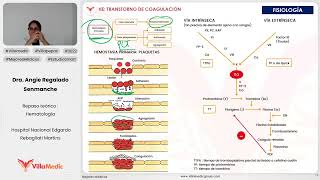 TRASTORNOS DE LA COAGULACIÓN  HEMATOLOGÍA  VILLAMEDIC [upl. by Rimola]