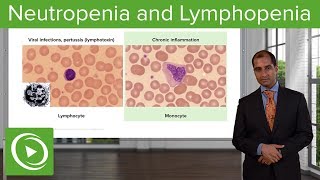 Quantitative WBC Disorders Leukocytosis amp Leukopenia – Pathology  Lecturio [upl. by Notlit]