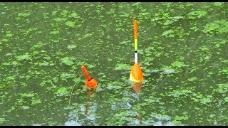 Best Fishing Video Part14 [upl. by Rohclem831]