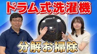 ドラム式洗濯機・洗濯槽のお掃除（分解洗浄組立）プロのやり方【乾燥機能を復活させる！】大阪 [upl. by Hasty]