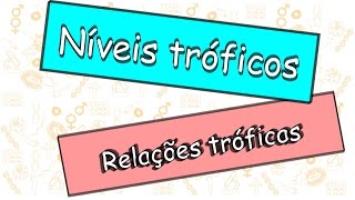 Níveis tróficos Relações tróficas [upl. by Eirelav]