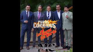 Mix De Puros Corridos De Los Tigres Del Norte [upl. by Towland]