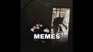 друг memes compilation [upl. by Araeit]