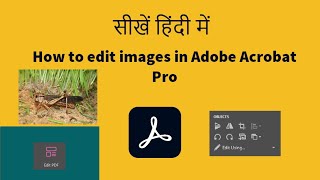 How to edit images in Adobe Acrobat pro  Adobe Acrobat Hindi Tutorial [upl. by Goodrich415]