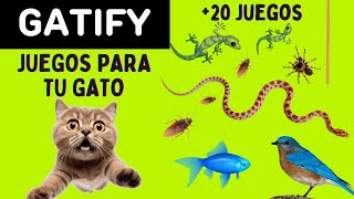 Juegos para Gatos  3 Horas de Ratones Moscas Cucarachas Peces Pájaros y todo lo que le gusta [upl. by Schuler]