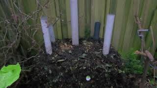 Simple Compost Pile Experiment [upl. by Joby]