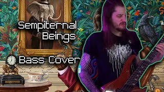 Sempiternal Beings  Haken Bass Cover [upl. by Yetnom]