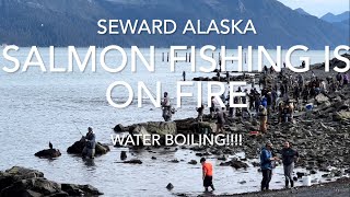 quotSeward Alaska Salmon Boiling Unbelievable Action limit in Minutes Combat Fishing to a new level [upl. by Anileva]