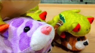 Zhu Zhu Pets Learn Numbers Counting with Zhu Zhus is a Disaster [upl. by Dnumde909]