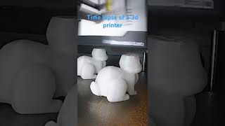 3d printer of a rabbit 3d 3dprinter 3dprinting 3dtimelapse timelapse [upl. by Akahs24]