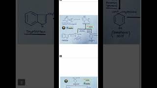 Shikimik Acid Pathwayshorts ytshorts futureofpharmacy biochemistryshort shortvideo bpharm [upl. by Zea]