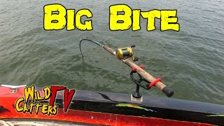 Ohio River ActionFishing for Blue catfish around mussel beds [upl. by Ahsinid]