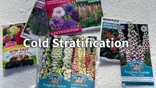 9 Methods to Cold Stratify Seeds [upl. by Aicnetroh]