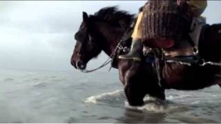 The last horse fishermen of Belgium [upl. by Given]