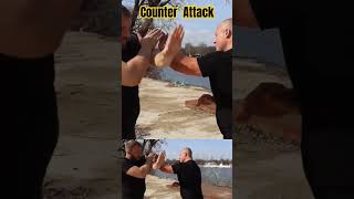 Counter Attack Wing Chun [upl. by Figone]