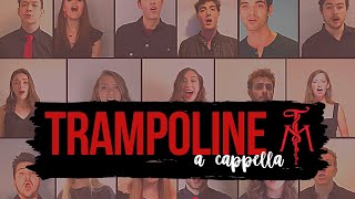 TRAMPOLINE SHAED \\ Twisted Measure A Cappella \\ Official Music Video [upl. by Citarella862]