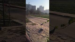 Gurgaon city  Haryana [upl. by Dlonyar]