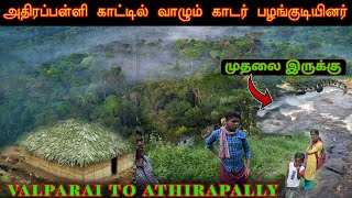 அதிரப்பள்ளி காட்டில் வாழும் காடர் பழங்குடியினர்athirapally tribesvalparai to athirapally route🐘 [upl. by Boak]