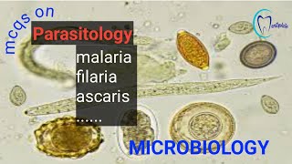 MCQs on Parasitology  Basic Science  Microbiology  Dentophile [upl. by Jemie66]