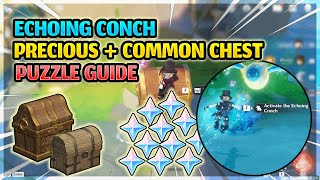 Echoing Conch Precious amp Common Chest Puzzle Fontaine  Genshin Impact 40 [upl. by Eiznik]