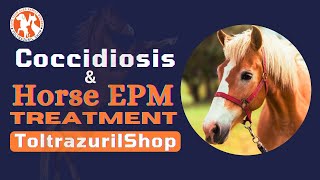 Horse Coccidiosis amp Horse EPM Treatment with Toltrazuril 5  Your Comprehensive Guide [upl. by Yrebmik]