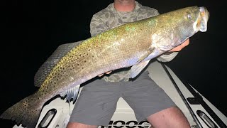 Slow Trolling Speckled Trout [upl. by Hahsi]