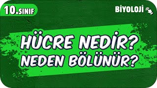 Hücre Nedir Neden Bölünür  10Sınıf Biyoloji 2025 [upl. by Parlin]